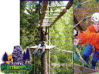 Adventure climbing forest